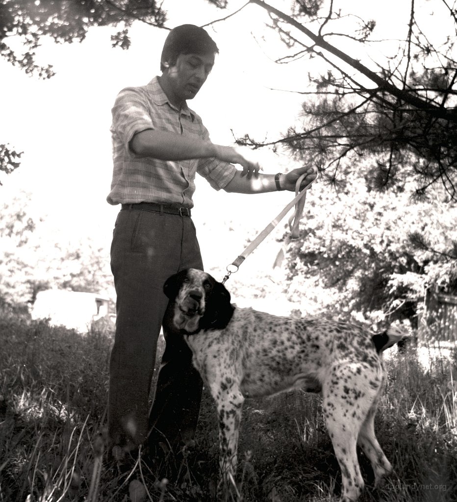 В.Ю. Теребиж